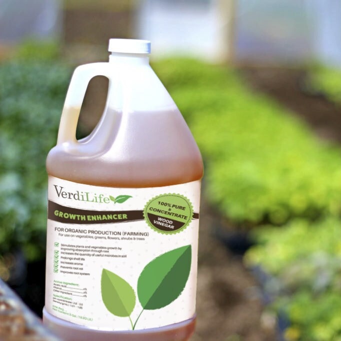 Wood Vinegar 1 Gallon Verdilife Wood Vinegar 100 Pure and Concentrate