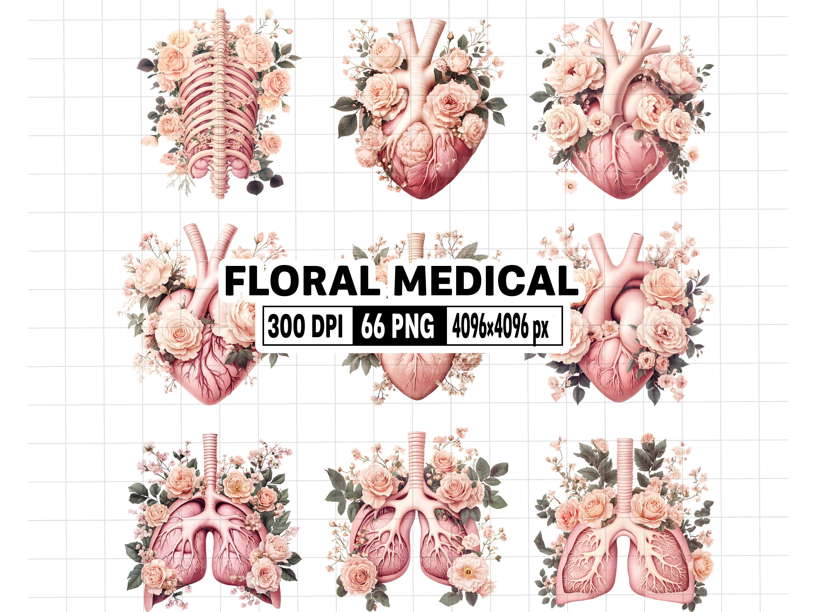 66 Floral Medical Clipart - Aesthetic Anatomy PNG - Boho Medical Flowers - Soft Pink Lungs, Heart, Ribcage, Brain, DNA Healthcare Graphics