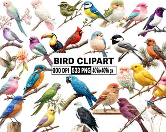 533 Bird Clipart, Colorful Watercolor Birds PNG, Cute Bird Species Graphics, Bird On Branch, Bird Sublimation, Nursery Birds Illustration