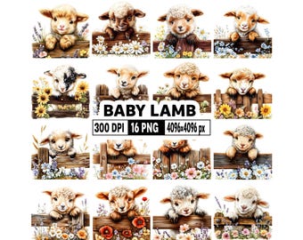 16 Cute Lamb on Fence Clipart - Funny Farm Animal PNG - Floral Lamb Decoration - Sheep on Wooden Fence - Farmhouse Lamb Graphics