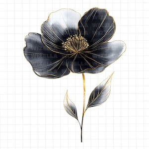 49 fleurs abstraites noir et or Clipart, PNG floral aquarelle, élégant téléchargement numérique de fleurs sauvages, des cliparts mariage