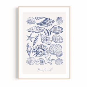Coastal Seashell Wall Art | Vintage Shell Print | Hamptons Coastal Decor | Navy Blue Nautical | Beach House Wall Decor | Digital Download