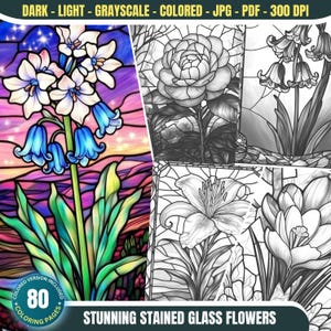 Könnte beinhalten: Ein Set mit 80 Malvorlagen mit Buntglas-Blumenmotiven. Die Motive umfassen eine Glockenblume, eine Kamelie, eine Lilie und einen Krokus. Die Seiten sind perfekt für Erwachsene und Kinder, die gerne ausmalen.