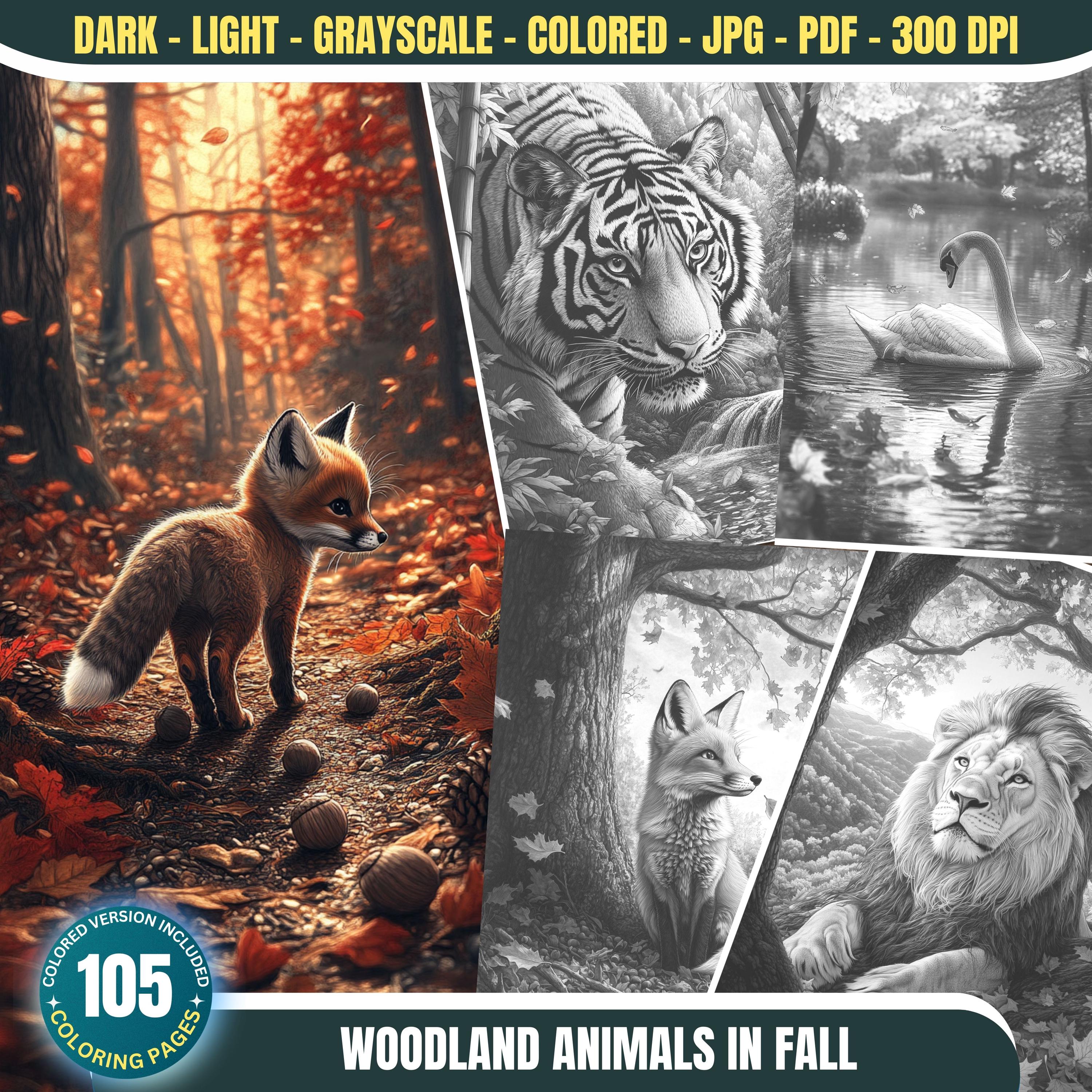 Woodland Animals in Fall: 105 Coloring Pages Mega Bundle for Adults and Kids Instant Download Grayscale Coloring Book PDF& JPG Jungle Fall