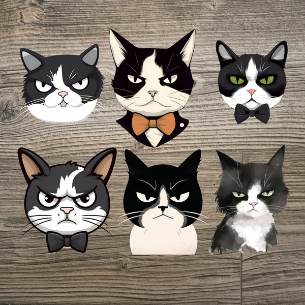 12 Grumpy Cats Clipart, Sad Angry Tuxedo Kitten, Digital Post Card/Sticker/Wall Arts, Funny Kitty Prints, Instant Download, Printable