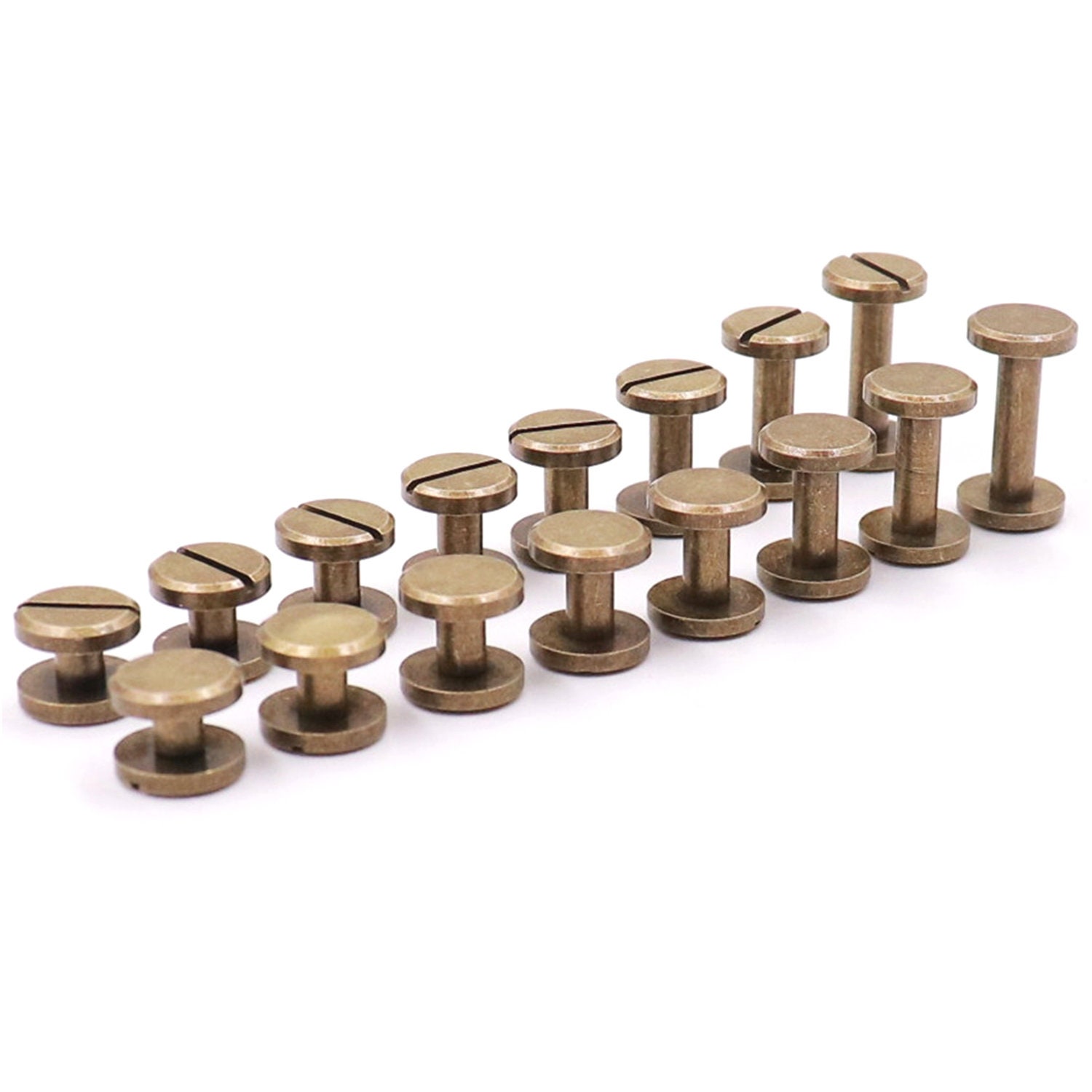 10 Pack 1/4 Antiqued Brass Chicago Screws With Grips ⋆ Hill Saddlery