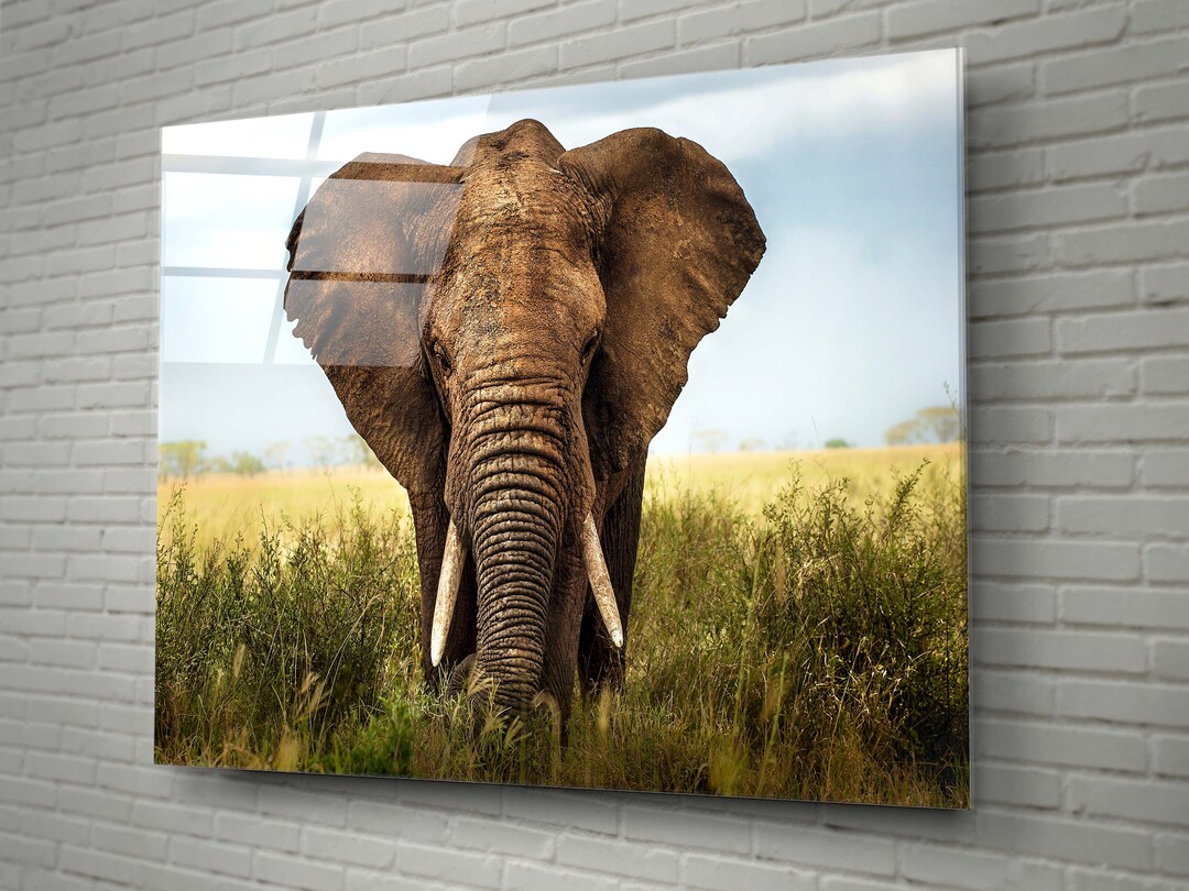 Elephant Wall Decoration Home Decoration Living Room Wall Etsy