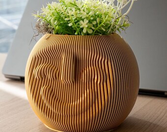 Smile Emoji Desk Planter: Playful Pen Holder & Succulent Pot