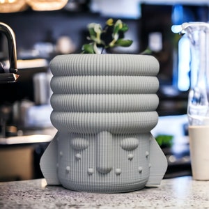 May include: A light grey ceramic planter with a face design and a textured surface. The planter has a small plant growing out of the top.
