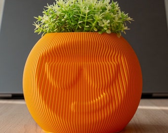 Emoji Desk Plant Pot: Playful Succulent & Cacti Planter