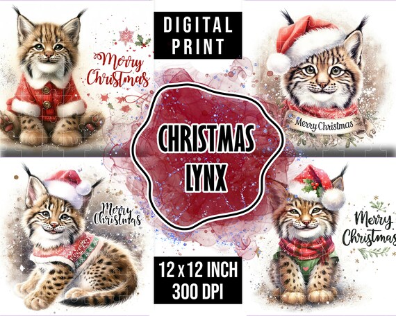 Lynx christmas discount