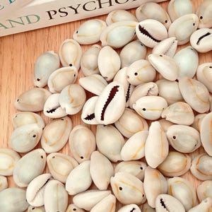 May include: A collection of white and cream-colored cowrie shells with dark brown and black openings. The shells are scattered on a light brown wooden surface, with a book partially visible in the background.