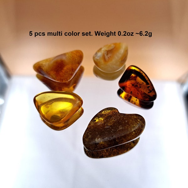 5pcs Polished Tumbled Stone Baltic Amber. Multi color set 0.2oz. Collectors gemstone. Gems average weight 0,028oz to 0,04oz each