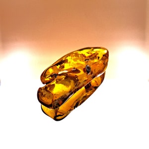 Peut inclure: Un morceau d'ambre avec un insecte brun foncé piégé à l'intérieur. L'ambre est d'une couleur jaune foncé et a une surface lisse et polie.