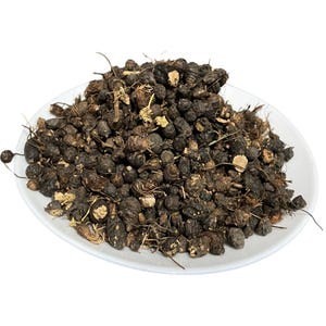 Nabat Al Saad – نبات السعد | Frön av Gowé, Cyperus rotundus, Gowi Gueni, Nagarmotha, Nötgräs