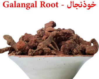 Raíz de galanga orgánica seca | خولنجان | Alpinia galanga | Jengibre siamés | Kulanjan Chitharathai | Alpinia officinarum | خوذنجال