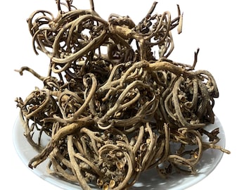 Chajarat Maryam al por mayor: La Planta Sagrada de la Armonía Femenina | Palma de María | Rosa de Jericó | عشبة كف مريم | Chajarat Maryam