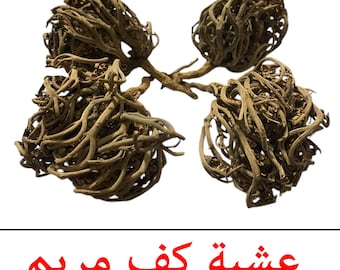 Chajarat Maryam: The Sacred Plant of Feminine Harmony | Palm of Mary, Rose of Jericho | عشبة كف مريم | Chajarat Maryam, Lalla Mariem