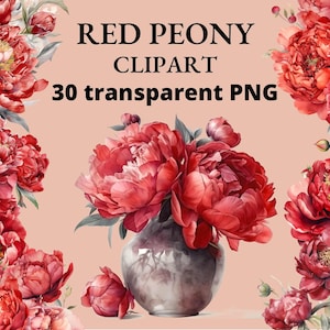30 rote Pfingstrose Clipart, Aquarell rote Peonia, Pfingstrosen Clipart, Blumen Clipart, rot, Blume PNG, Junk Journal, transparentes PNG, PNG Bundle