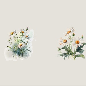 Watercolor Daisies Clip Art: Flower PNG Images (Digital Download) image 6