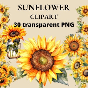 30 cliparts aquarelle tournesol, téléchargement immédiat, bouquet de tournesols, clipart fleur, fleurs jaunes PNG, Junk Journal, PNG Bundle
