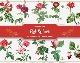 Könnte beinhalten: Ein digitales Papierpaket mit 10 Vintage- botanischen Illustrationen von roten Blumen und Beeren. Die Illustrationen sind im klassischen Stil gehalten und zeigen detaillierte Zeichnungen von Rosen, Geranien und anderen Blumen. Das Paket enthält digitales Papier und digitale Karten.
