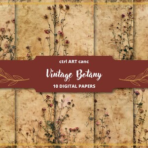 Dried Roses Paper Old Paper Vintage Junk Journal Vintage Flowers Scrapbook Kit Vintage Kit Vintage Decor for Junk Journal Pages Background