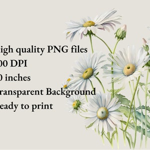 May include: A digital illustration of white daisies with yellow centers, painted in a watercolor style. The flowers are arranged in a bouquet with green stems and leaves. The background is a light gray color.