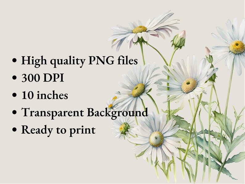 May include: A digital illustration of white daisies with yellow centers, painted in a watercolor style. The flowers are arranged in a bouquet with green stems and leaves. The background is a light gray color.