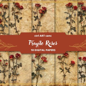 Rosas secas papel velho vintage lixo diário vintage flores scrapbook kit vintage decoração para lixo diário páginas fundo