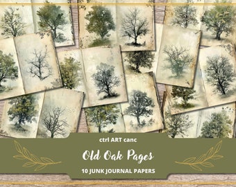 Pode incluir: Uma coleção de dez papéis de jornal de lixo em estilo vintage. Cada página apresenta uma ilustração única de um carvalho em várias estações, com uma aparência desgastada e envelhecida. O texto "Old Oak Pages" e "10 Junk Journal Papers" é exibido.