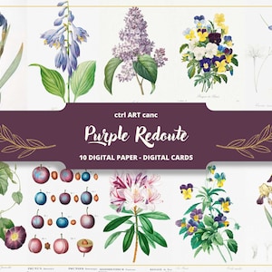 Illustration botanique violet Illustration Pierre-Joseph Redouté Illustration florale Art floral Art mural Illustration botanique vintage