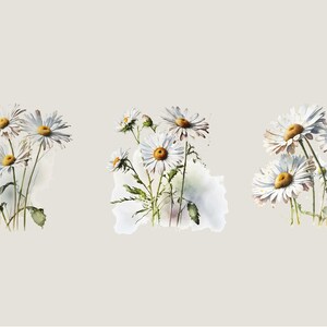 Watercolor Daisies Clip Art: Flower PNG Images (Digital Download) image 4