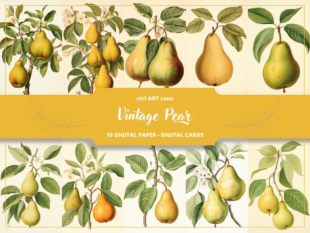Pear Wall Art Fruit Art Yellow Color Art Vintage Art Kitchen Wall Art ...