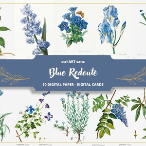 Illustration botanique bleue Illustration Pierre-Joseph Redouté Illustration florale Art floral Art mural floral Illustration botanique vintage