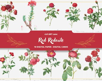 Könnte beinhalten: Ein digitales Papierpaket mit 10 Vintage-Illustrationen von roten Rosen. Die Illustrationen sind im botanischen Stil gehalten und eignen sich perfekt für Bastelprojekte.