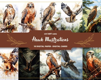 Hawk Illustrations Digital Paper, Bird Prints, Bird Decorations, Bird Images, Bird Drawings, Bird Gift, Journaling Paper, Crafting Paper