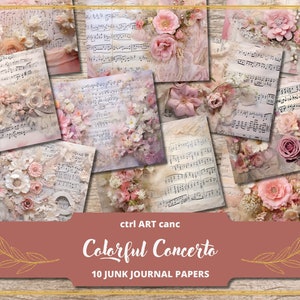 Roze muziek ongewenste Journal Kit bladmuziek Scrapbook Lace roze Scrapbook papier voor junk Journal pagina's Shabby Floral Journal Floral Scrapbook