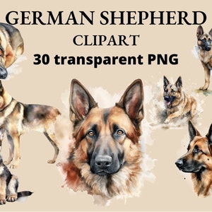 30 Watercolor German Shepherd Clipart: PNG Dog Graphics (Digital Download)