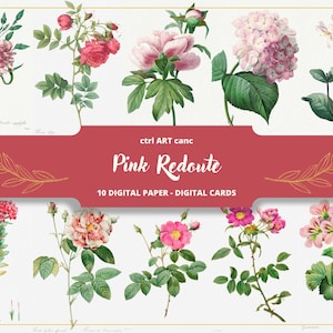 Illustration botanique rose Illustration Pierre-Joseph Redouté Illustration florale Art floral Art mural floral Illustration botanique vintage
