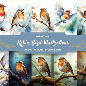 Illustrations Rouge-gorge Papier numérique, Impressions D'oiseaux, Décorations D'oiseaux, Images D'oiseaux, Dessins D'oiseaux, Cadeau Oiseau, Papier Pour Journal
