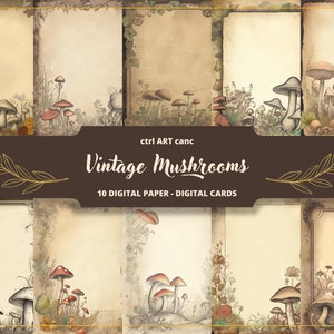 10 Papel digital de setas vintage, papel de setas, papel vintage, papel digital caprichoso, papel de carta, scrapbooking, collage, diario basura