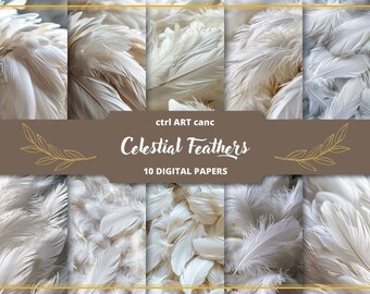 Feathers Digital Paper: Angel Texture Art (JPEG, 300 dpi)