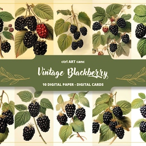 Blackberry Wall Art Fruit Art Black Color Art Vintage Art Kitchen Wall Art for Kitchen Fruits Wall Art Blackberry Printable Wall Art Kitchen