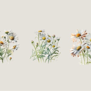 Watercolor Daisies Clip Art: Flower PNG Images (Digital Download) image 5