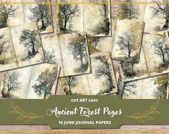 Pode incluir: Dez papéis digitais com ilustrações de estilo vintage de árvores em um ambiente de floresta. Os papéis têm um aspecto desgastado e envelhecido, perfeitos para o diário de sucata ou outras manualidades de papel.