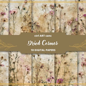 Getrocknetes Blumenpapier, altes Papier, Vintage-Junk-Journal, Vintage-Blumen, Scrapbook-Set, Vintage-Set, Vintage-Dekor für Junk-Journal-Seiten, Hintergrund