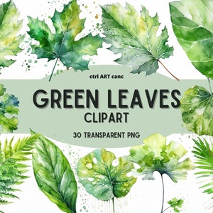 Clipart de folhas verdes, clipart de folhas, clipart de natureza, clipart verde, clipart de decoração de folhas, sustentabilidade, Junk Journal, pacote PNG, arte digital