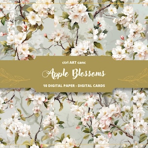 Sakura papel digital para scrapbook floral padrão sem costura fundo para lixo diário flor papel para scrapbook papel digital para baixar