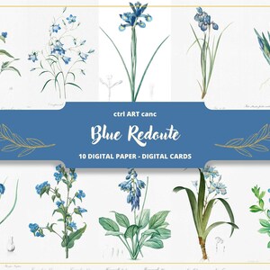 Blue Botanical Illustration Pierre-Joseph Redouté Illustration Floral Illustration Floral Art Floral Wall Art Botanical Vintage Illustration
